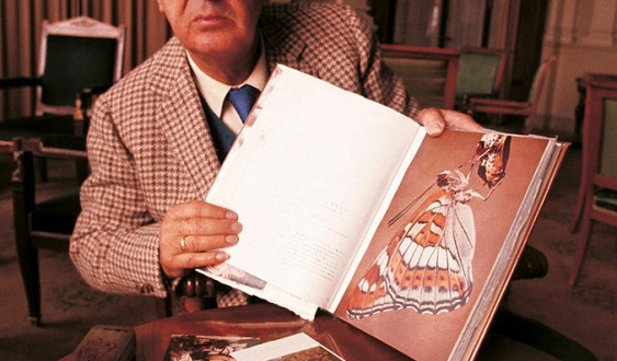 ada-o-el-ardor-vladimir-nabokov