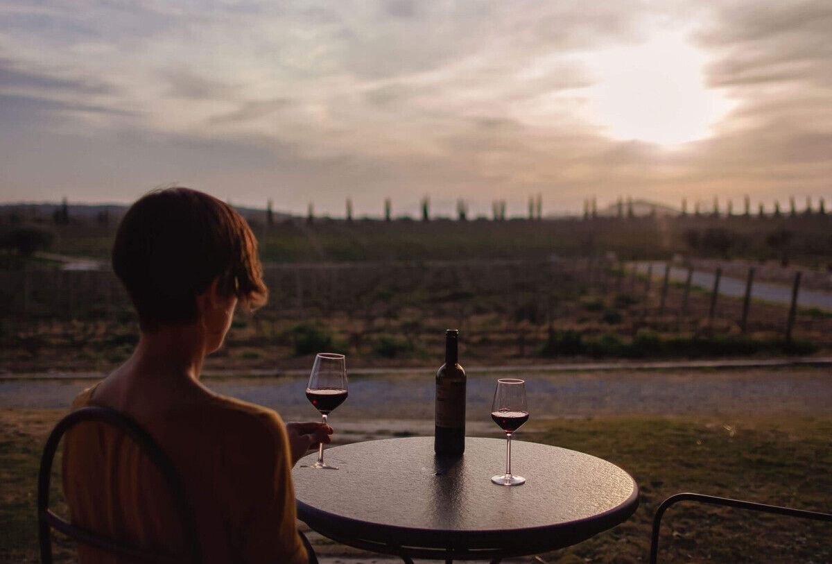 celler-la-vinyeta-2-e1601582818441