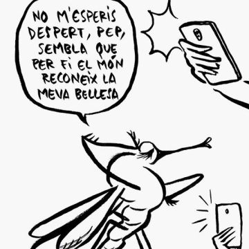 MOSQUITO_INT_CAT