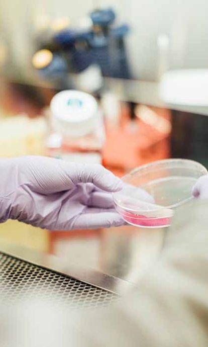 Les empreses biomèdiques a Catalunya aconsegueixen 102 milions d'inversió el 2017