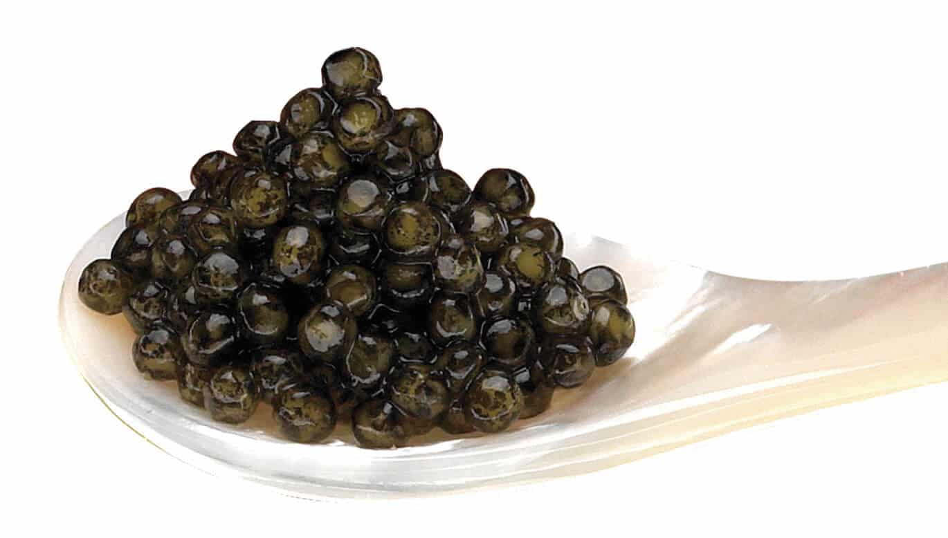 CAVIAR NACARII