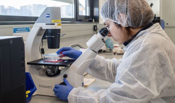 Laboratoris PCB Àngel Bravo