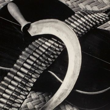 exposició TINA MODOTTI_3