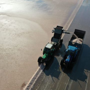 Infosa sal Delta de l'Ebre