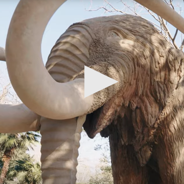 mamut barcelona parc de la ciutadella