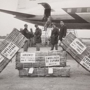 Transporte de flores