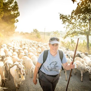 Un matí de pastor a Cal Serrats, una experiència per viure la ramaderia de ben a prop. FOTO_ SERGIO ROS