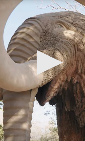 mamut barcelona parc de la ciutadella