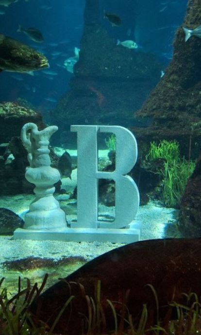 Copa de l'Amèrica Àquarium