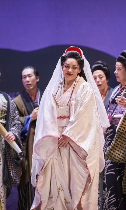 Madama Butterfly - copyright David Ruano