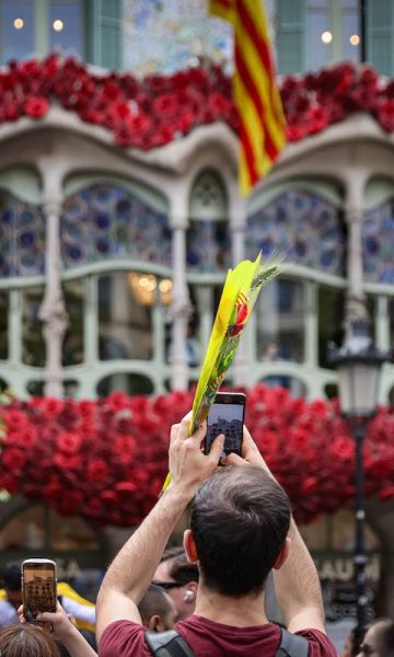Casa Batlló decorada de rosas por Sant Jordi 2025 © Jordi Borràs : ACN
