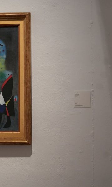 Exposició Miró i els Estats Units, per Eli Don : ACN