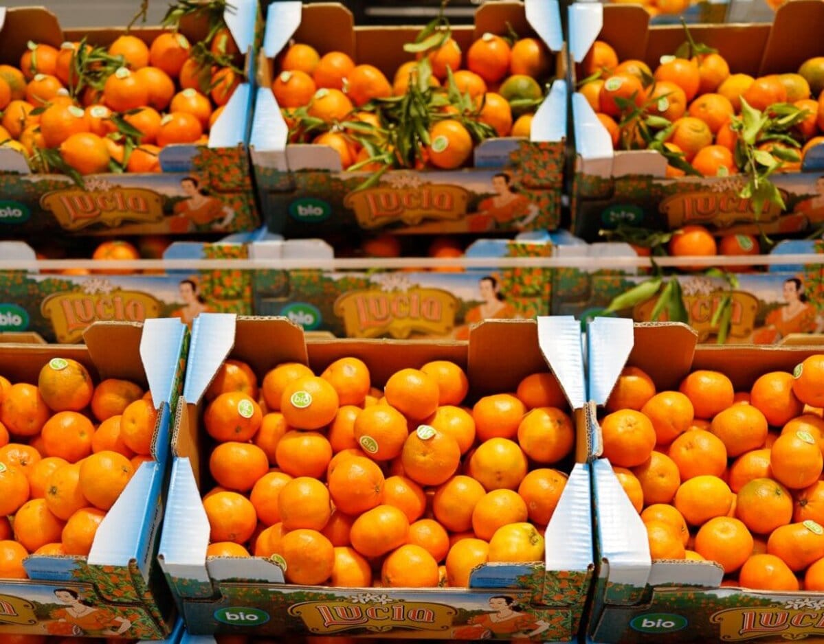 71_biomarket_mercabarna_1606203669_1024-2-2
