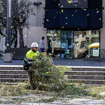 Efectes del vent a Barcelona treballador municipal © Àngel Bravo