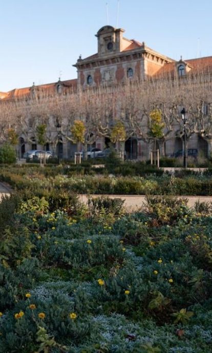 El Parlament de Catalunya per Martí Petit