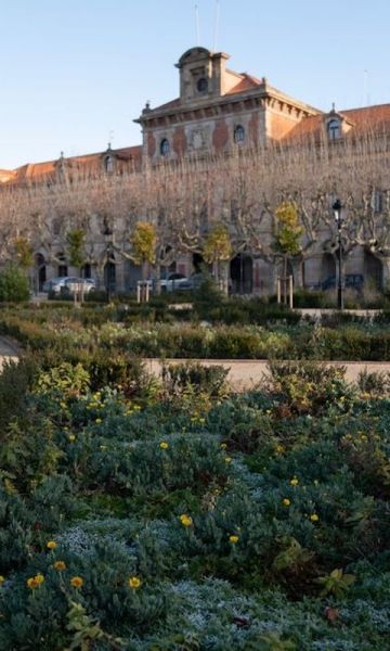 El Parlament de Catalunya per Martí Petit