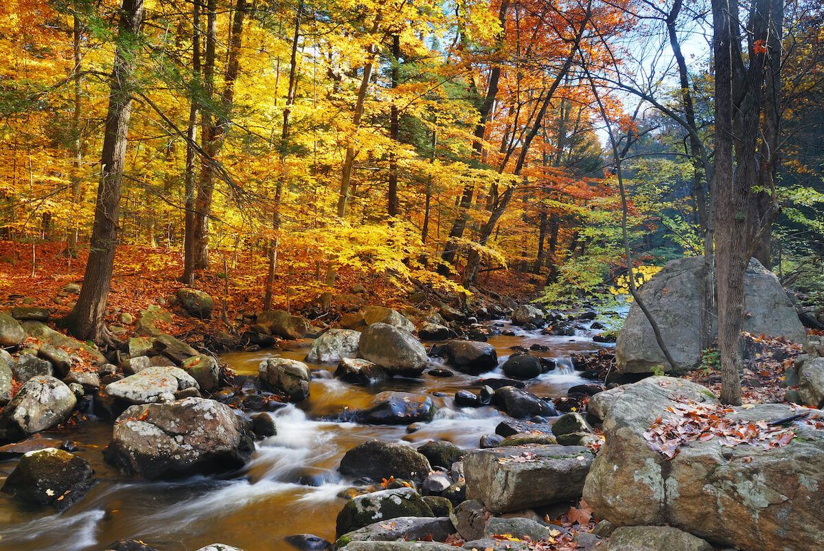 Santa Fe de Montseny 