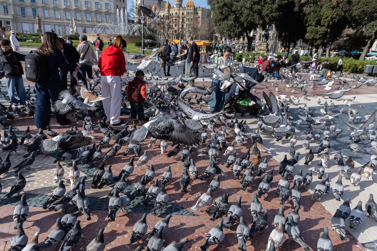 Turistas en Plaza Catalunya. Àngel Bravo