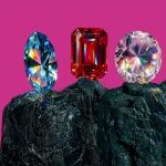 'El culte a la bellesa', al CCCB