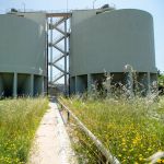 La depuradora de Gavà-Viladecans, exemple de la integració de biodiversitat a les instal·lacions del cicle de l'aigua