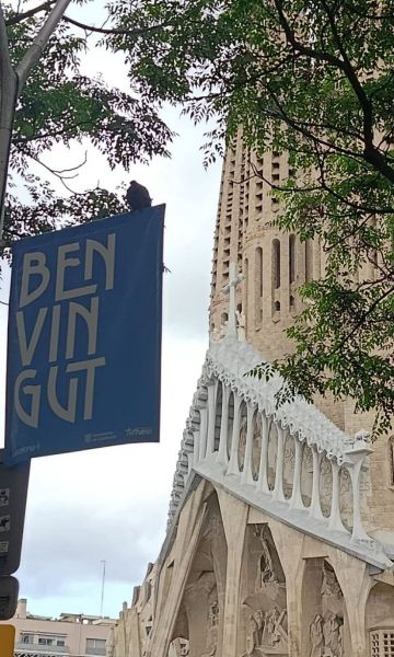 La Sagrada Família, preparada per a la visita del Papa La Sagrada Família, preparada per a la visita del Papa