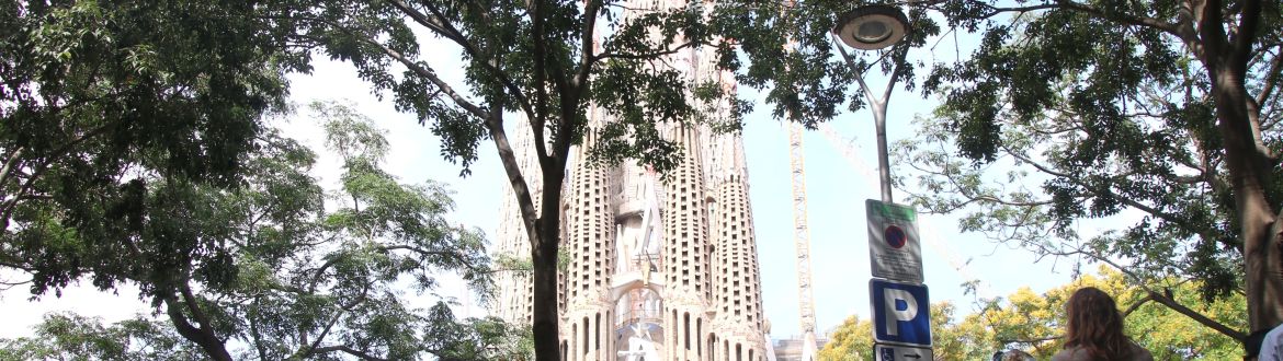 La Sagrada Família poc abans de la benedicció de la Torre de Jesús. © Norma Vidal / Albert Hernàndez (ACN) La Sagrada Família poc abans de la benedicció de la Torre de Jesús. © Norma Vidal / Albert Hernàndez (ACN)