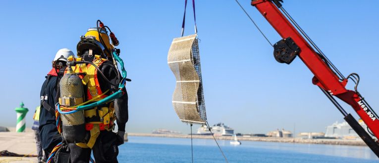 El programa RegenPorts impulsa un model pioner per integrar la regeneració marina en l'activitat portuària El programa RegenPorts impulsa un model pioner per integrar la regeneració marina en l'activitat portuària