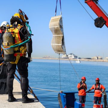 El programa RegenPorts impulsa un model pioner per integrar la regeneració marina en l'activitat portuària