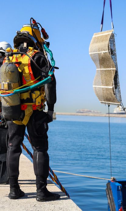 El programa RegenPorts impulsa un model pioner per integrar la regeneració marina en l'activitat portuària El programa RegenPorts impulsa un model pioner per integrar la regeneració marina en l'activitat portuària