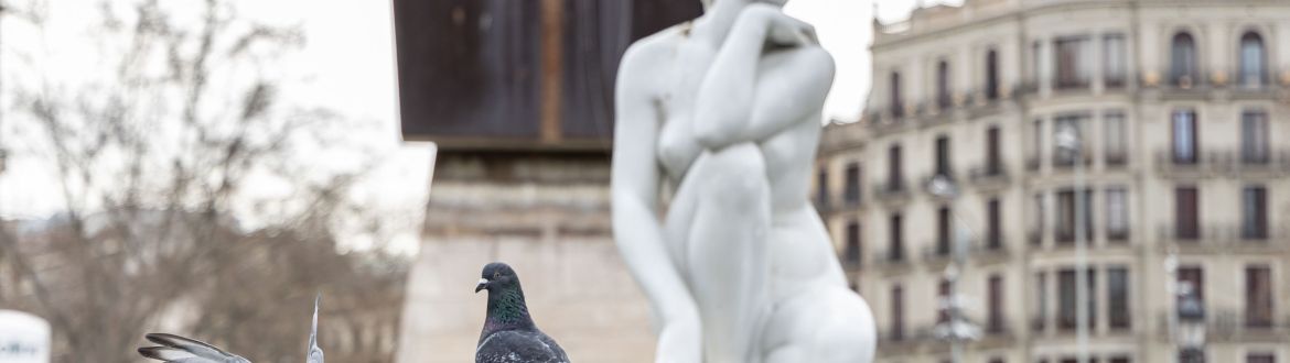 La Deessa de Plaça Catalunya. © Àngel Bravo