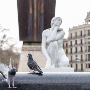 La Deessa de Plaça Catalunya. © Àngel Bravo