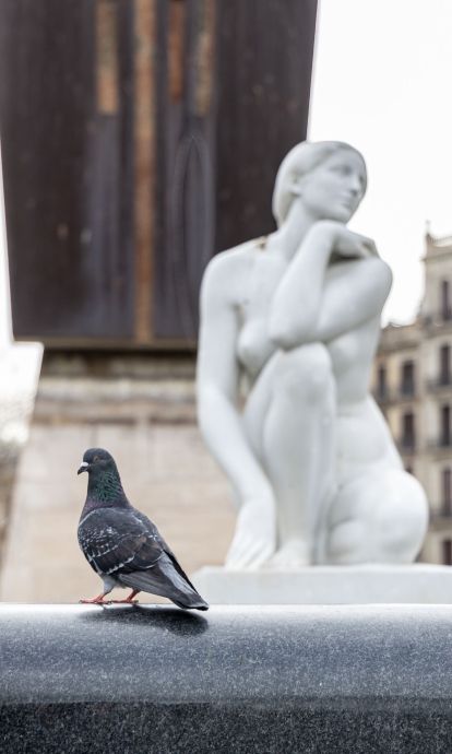 La Deessa de Plaça Catalunya. © Àngel Bravo