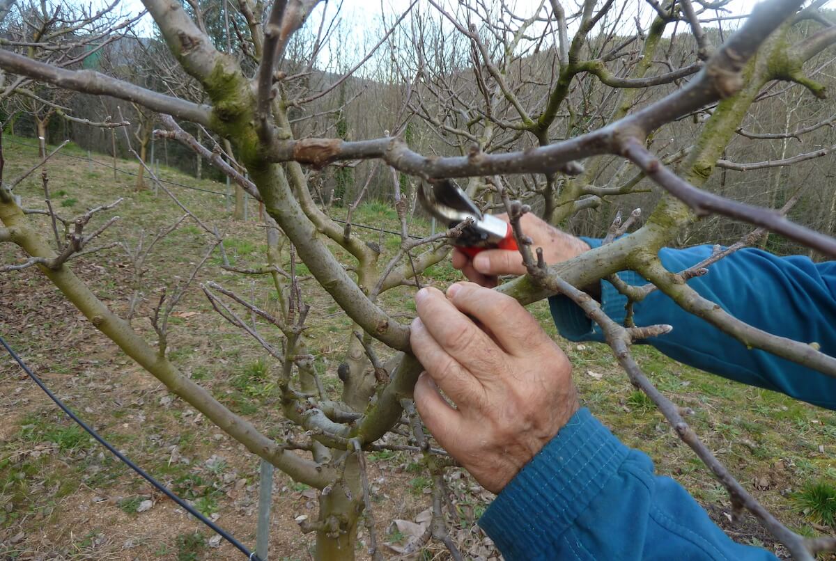 Julià Guillamon 'Les hores noves'
