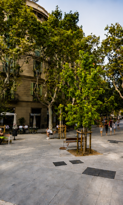 El carrer Consell de Cent, a Barcelona El carrer Consell de Cent, a Barcelona