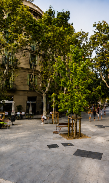 El carrer Consell de Cent, a Barcelona El carrer Consell de Cent, a Barcelona