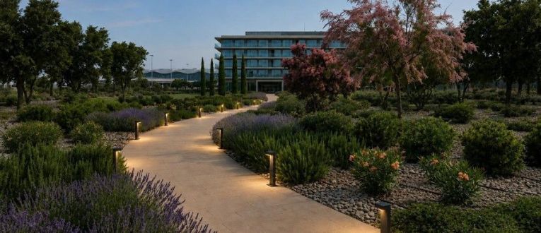 Se va a dar peso al verde. Se pretende que la vegetación gane terreno al asfalto entre la terminal, los aparcamientos y el futuro hotel de la T2 © Aena Se va a dar peso al verde. Se pretende que la vegetación gane terreno al asfalto entre la terminal, los aparcamientos y el futuro hotel de la T2 © Aena