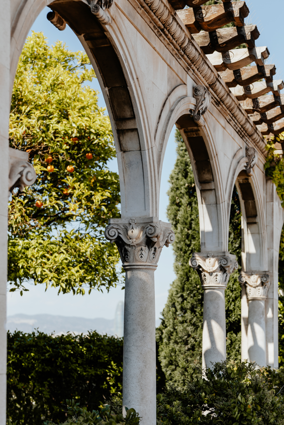 Detalle del jardín en la azotea Detalle del jardín en la azotea