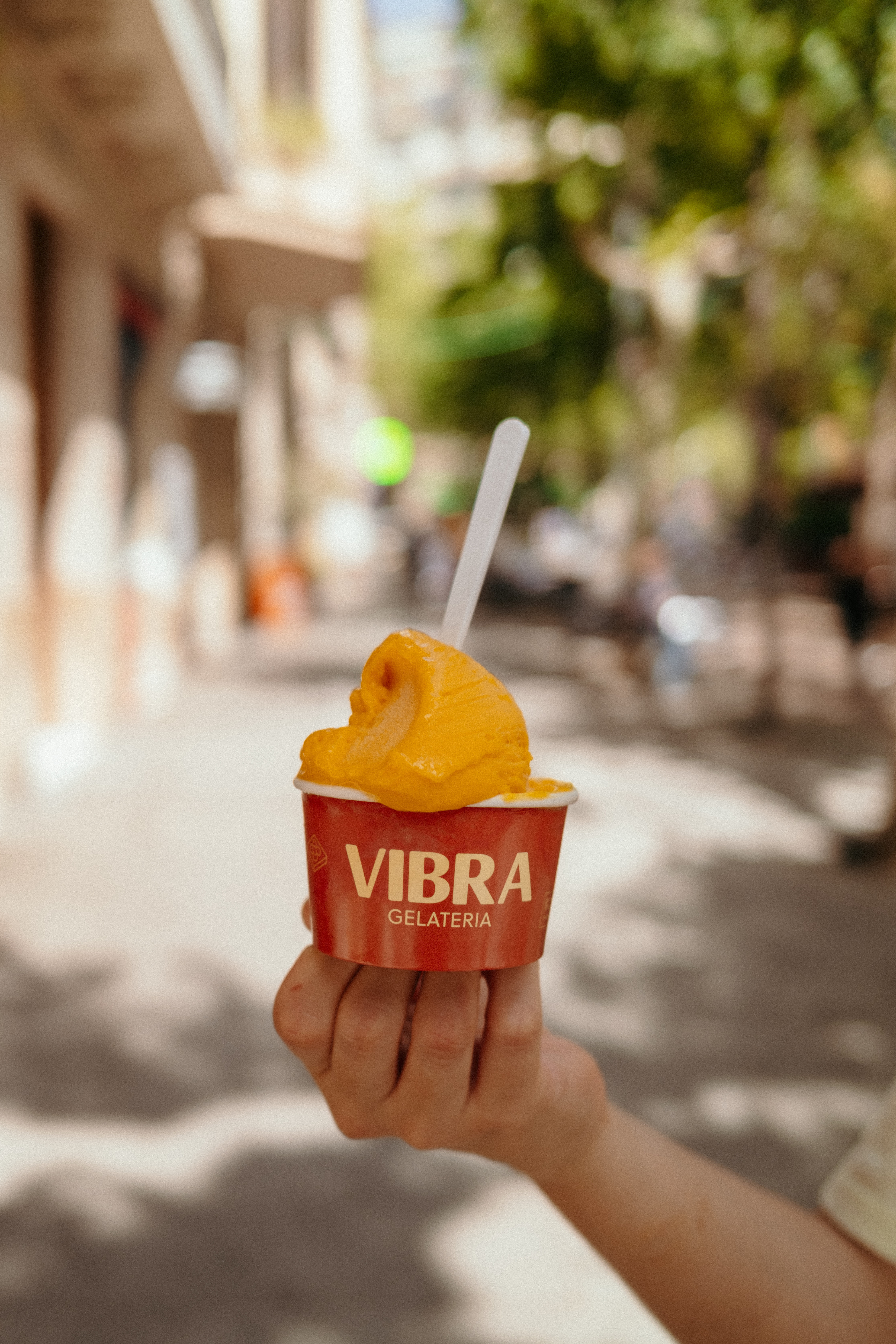 Mango, maduixa i llimona són alguns dels sorbets que Vibra recomana especialment a l’estiu per la seva frescor