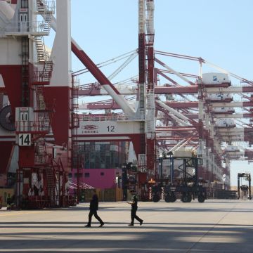 Les grues de la terminal de contenidors Hutchison Ports Best © Alba Ibáñez (ACN)