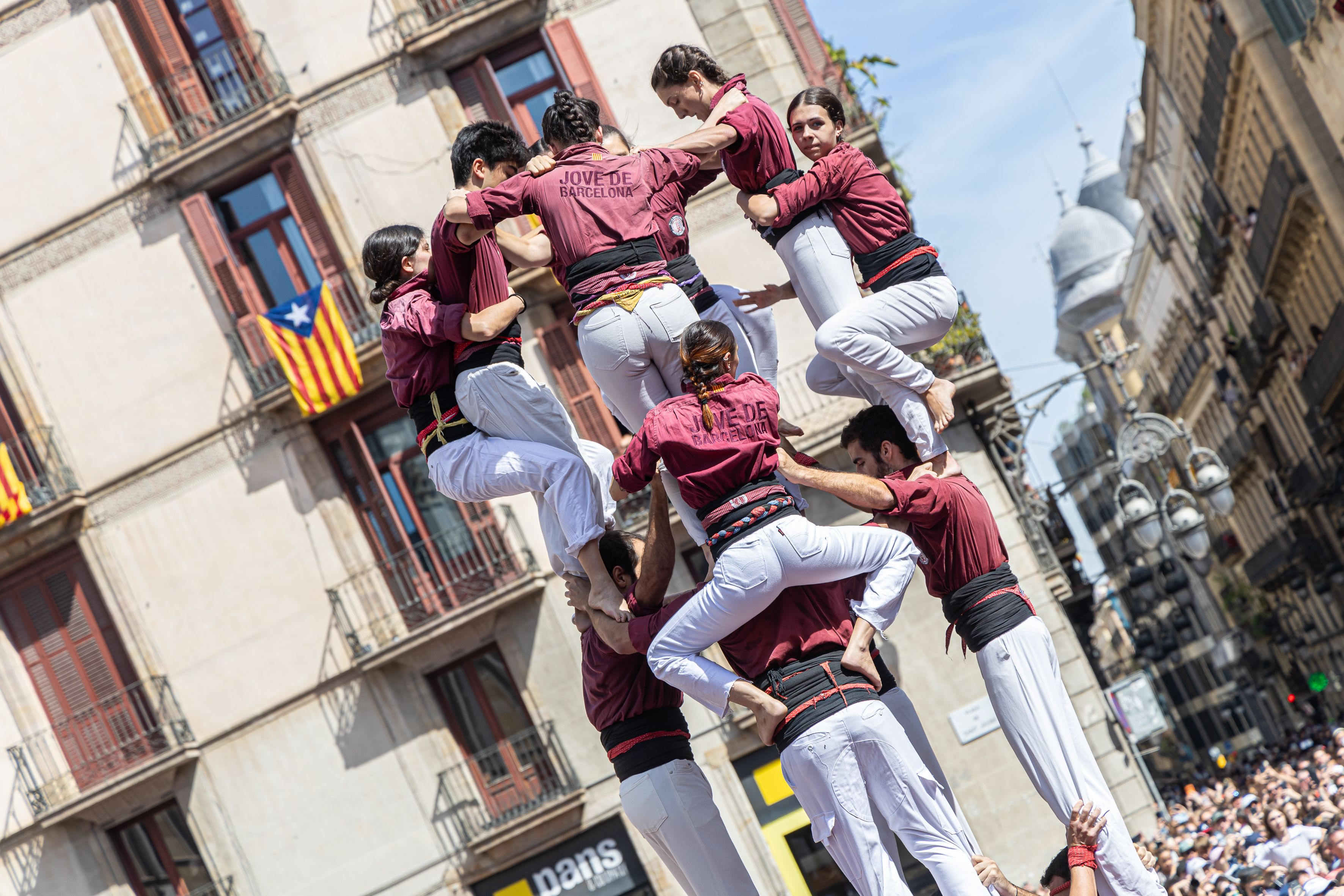 La Colla Jove de Barcelona aixeca el castell durant la Diada Castellera