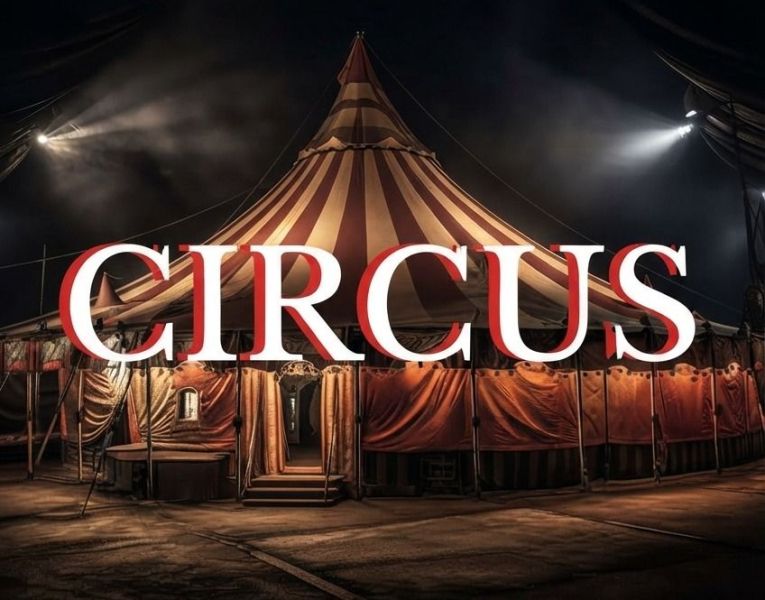 Circus, el passatge de terror dels Encants Circus, el passatge de terror dels Encants