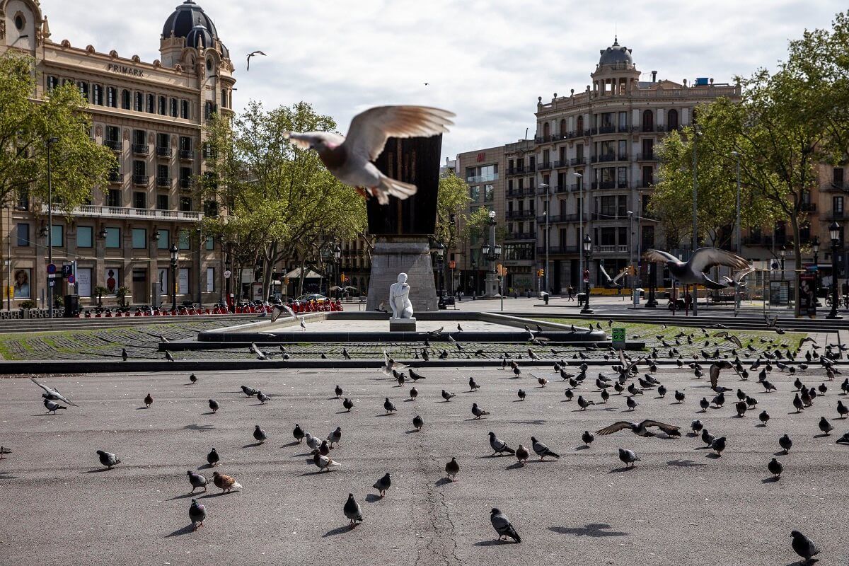 Coloms Plaça Catalunya
