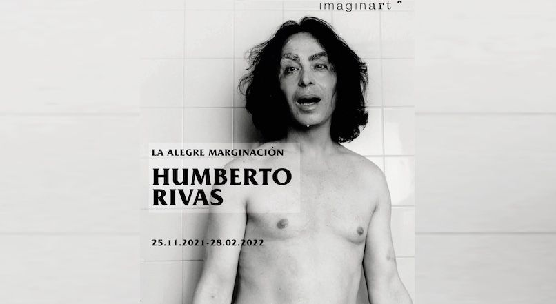 Violeta la Burra