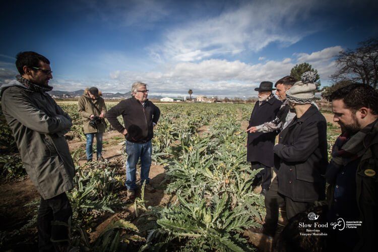 (obrir)Visita_Carlo_Petrini_Parc_Agrari_Baix_Llobregat-Carxofa_Prat_4