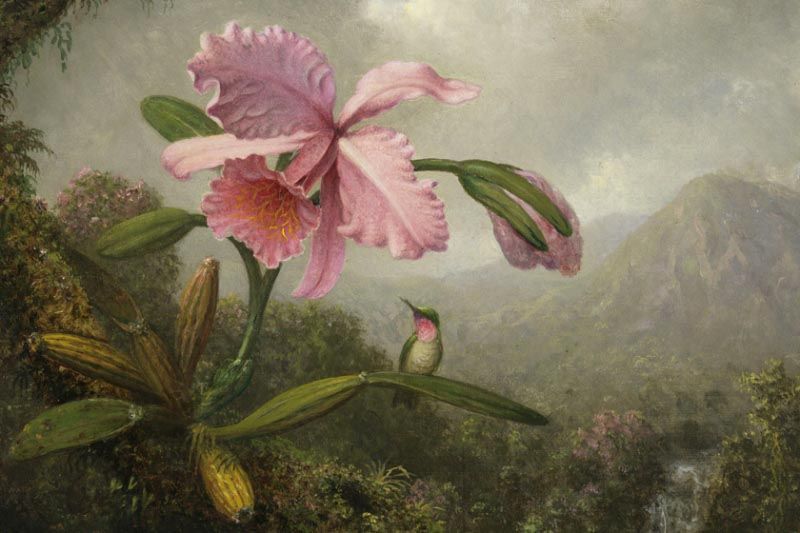 474_modal