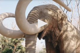 mamut barcelona parc de la ciutadella