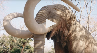 mamut barcelona parc de la ciutadella