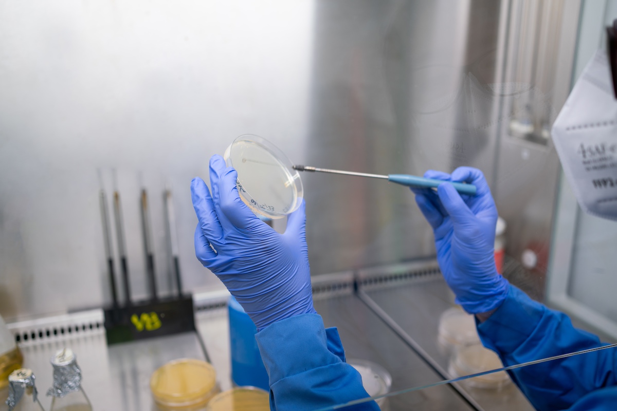 Laboratorio de la startup catalana Benviro.