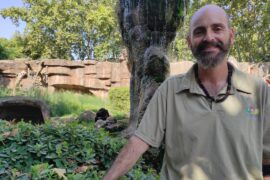 El Raúl al Zoo de Barcelona on hi treballa com a cuidador de primats. © Carme Escales