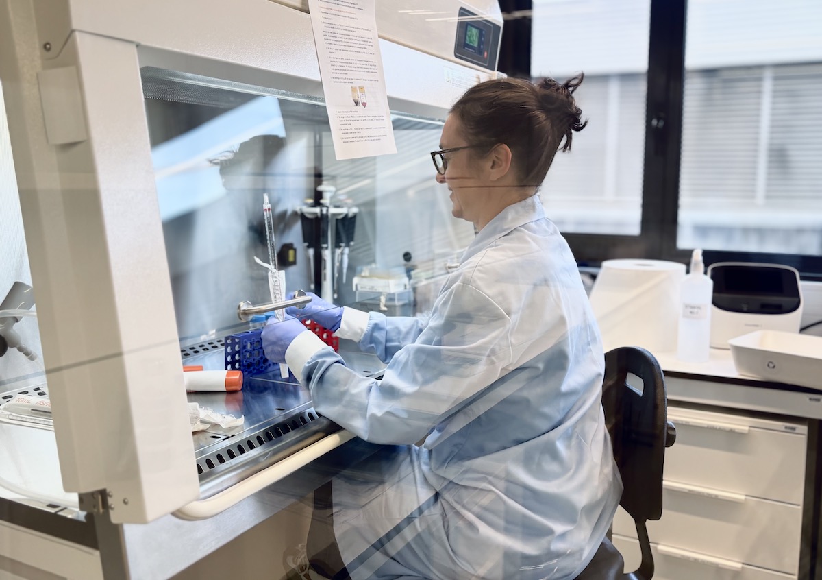 Laboratori de Becytes